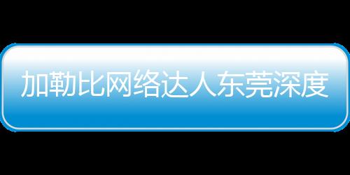 加勒比网络达人东莞深度游：智造、文化与烟火气的完美融合