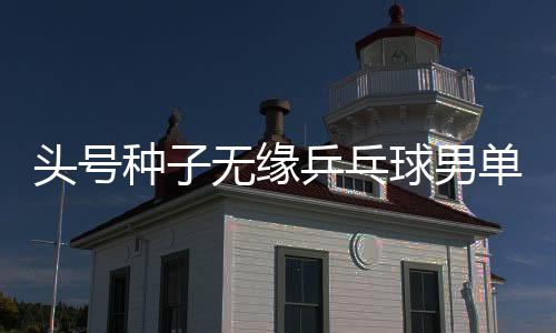 头号种子无缘乒乓球男单16强 王楚钦：换球拍不是输球理由