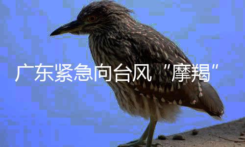 广东紧急向台风“摩羯”受灾严重地区拨付2500万元省级救灾资金