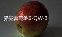 骆驼蓄电池6-QW-36适用于本田飞度哥瑞理念锋范铃木奥拓汽车电瓶B